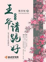 清穿之王爷请跪好