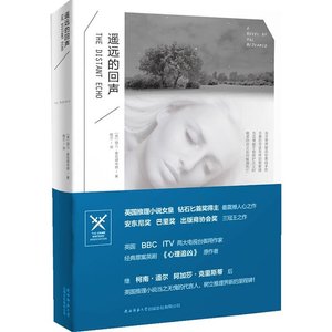 遥远的回声(出书版)
