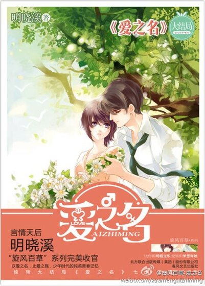 愛之名(出書版)