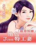 致命纠缠:绝色特工妻