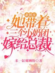 新婚夜她带着三个小奶团嫁给总裁