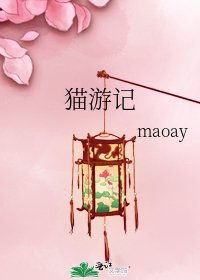 猫游记
