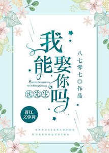 沈先生,我能娶你吗