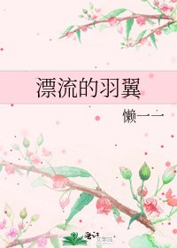 漂流的羽翼