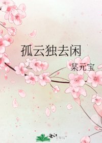 孤云独去闲
