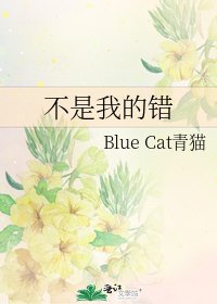不是我的错