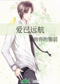 爱已远航