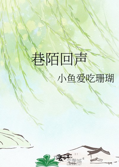 巷陌回声