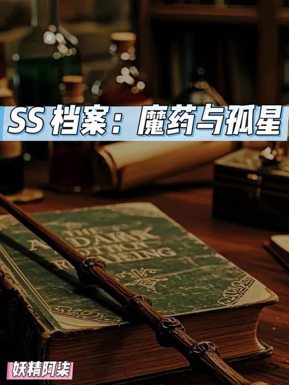 SS档案:魔药与孤星