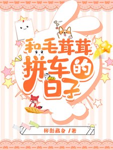 和毛茸茸拼车的日子