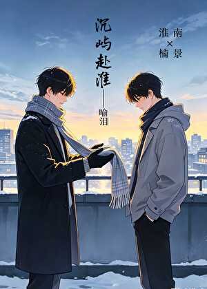 沉屿赴淮