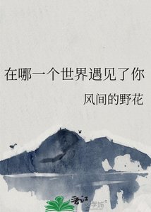 在哪一个世界遇见了你