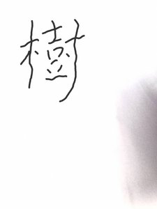 树小姐惨无人道啊