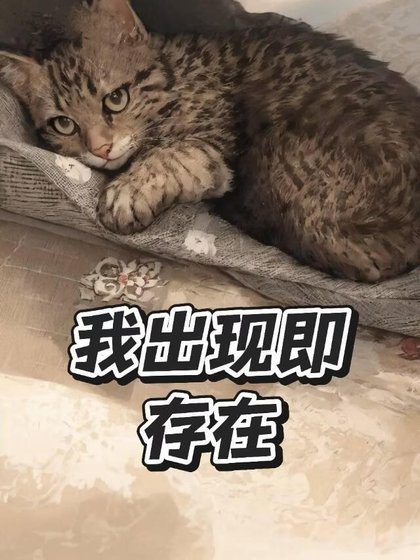我出现即存在