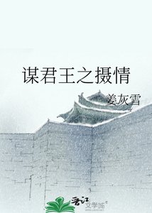 谋君王之摄情