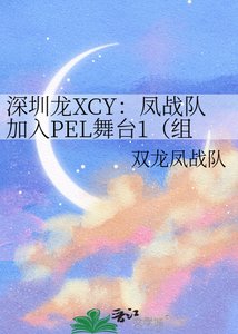 深圳龙XCY:凤战队加入PEL舞台1(组键战队阶段与参加联赛阶段)