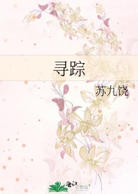 寻踪