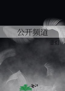 公开频岛