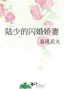 陆少,你的闪婚妻子又跑路了