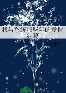 我与系统那些年的爱恨纠葛
