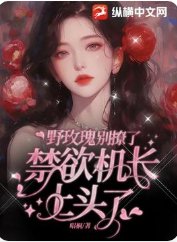 野玫瑰别撩了,禁欲机长上头了