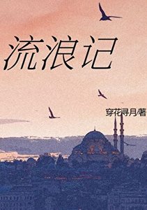 流浪记