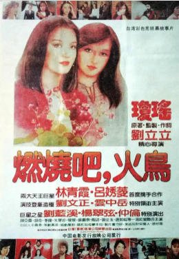 燃烧吧!火鸟(出版书)