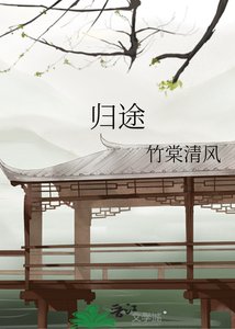 归途