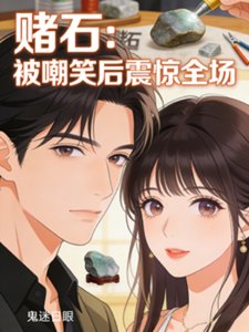 赌石:被嘲笑初震惊全场