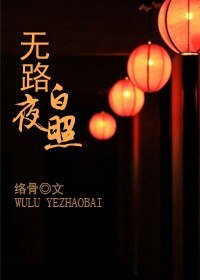 无路夜照白